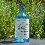 Slow Deutschlands Irish Ginnatic größter Gin-Blog Wild Distilled Gin - Testbericht - Burrow