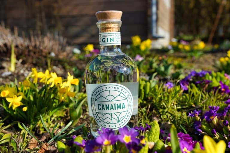 Mit Was Kann Man Gin Mischen Außer Tonic